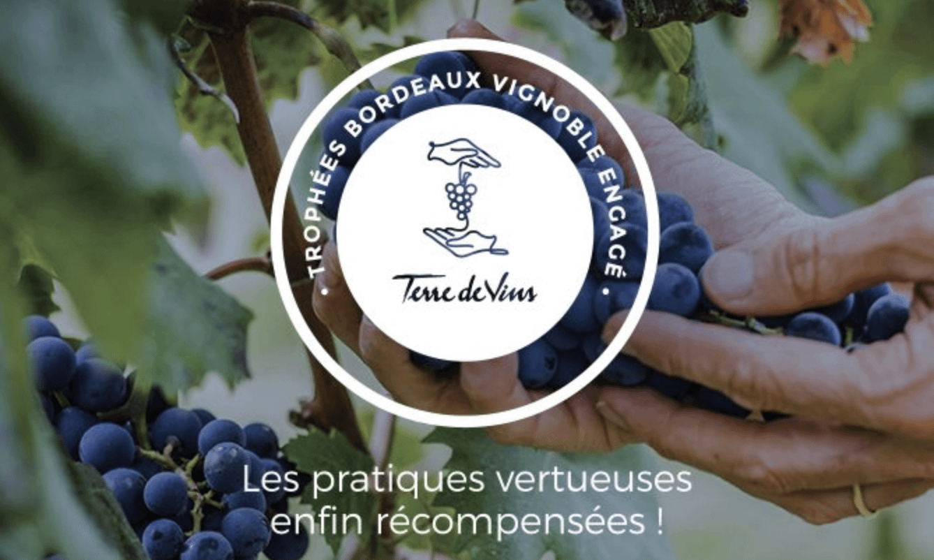 Castel Wine International wint ‘Vignoble Engagé’ award